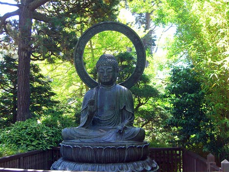 buddha-statue-in-forest