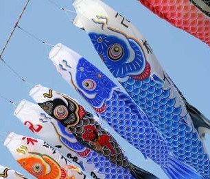 japan-fishkites