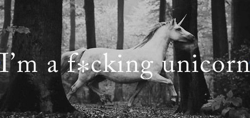 f*cking unicorn