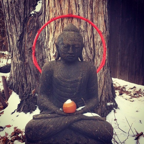 waylonlewis instagram buddha meditation