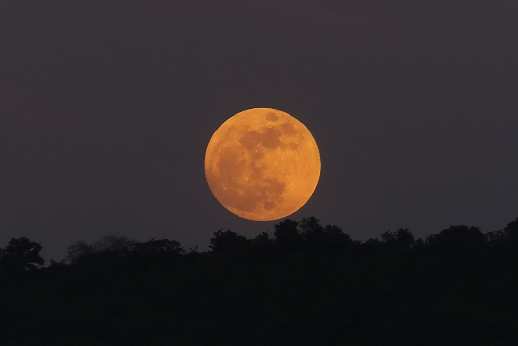 full supermoon coming up - aufgehender vollmond - spunta la luna piena