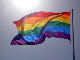 gay flag flying