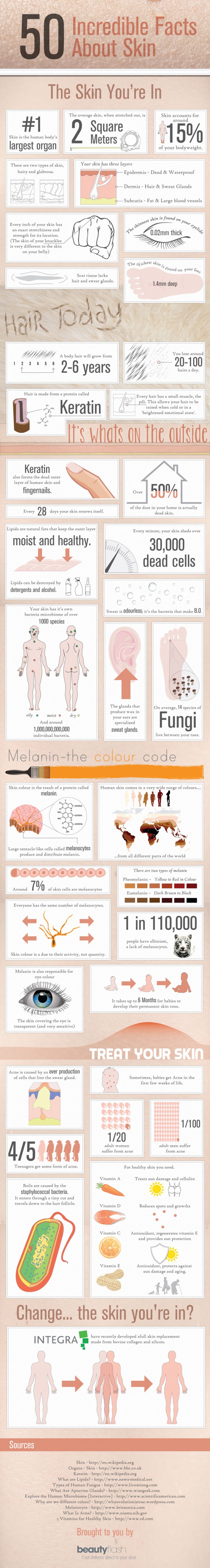 facts about skin infographic
