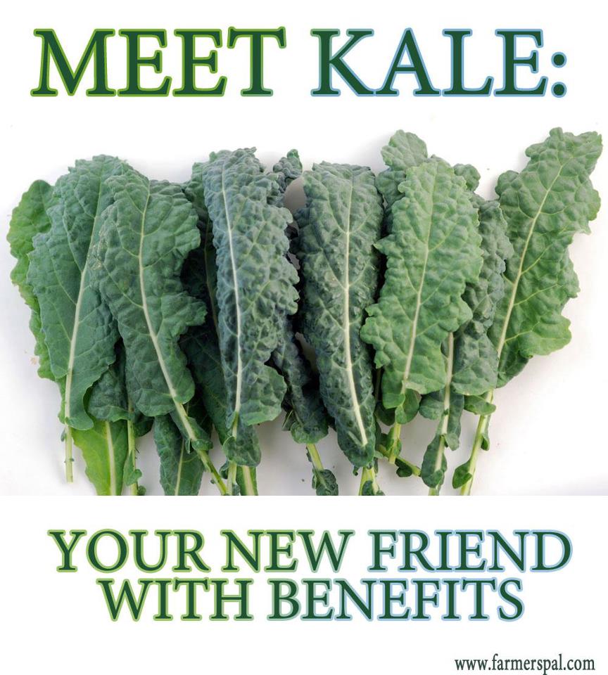 Killing the Myths: Kale Isn't Bad For You & It Won't Kill You!