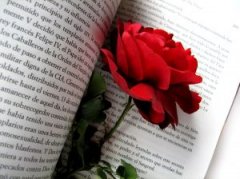 rose_passion_novel_244517_m