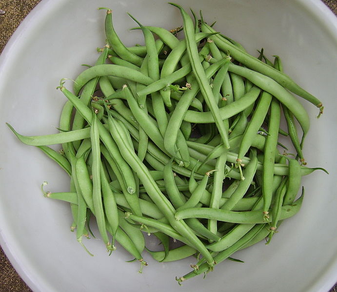 691px-FrenchBeans