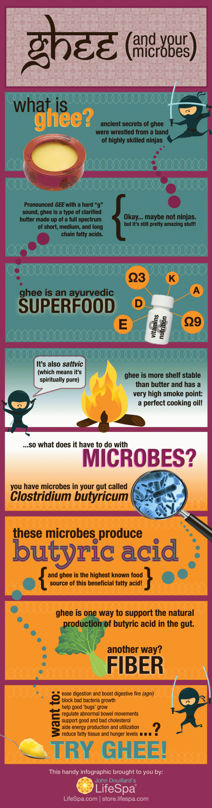 ghee and your microbes infographic
