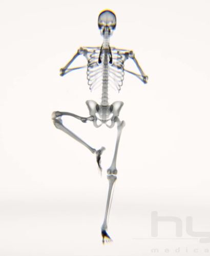 yoga skeleton