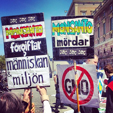 2013 Stockholm_Demonstration_against_Monsanto