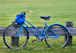 Bike at Rest