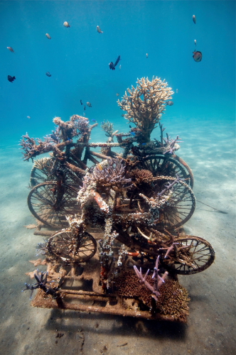 Bicycles Underwater Coral Bali 