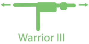 Palintonicity Warrior-III