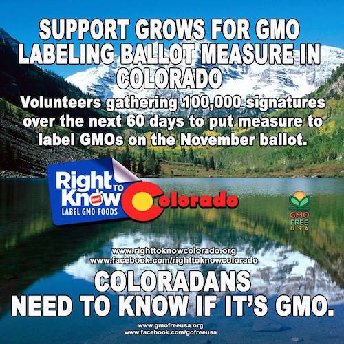 GMO labeling 