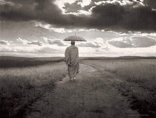 zen monk walk rain umbrella