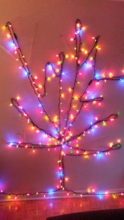 tree with lights on