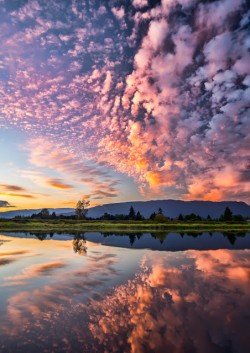 river, sunset, pink, clouds, nature, reflection 