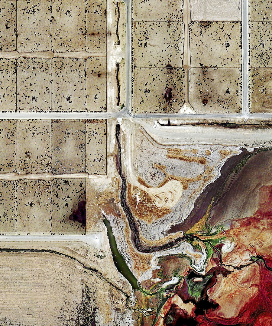 5 Haunting Photos: a Bird's-Eye View of what Factory Farms Do to Our
