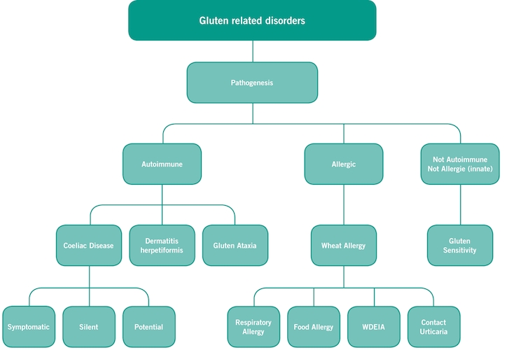 Gluten-related_disorders