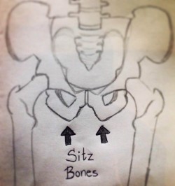 sit bones
