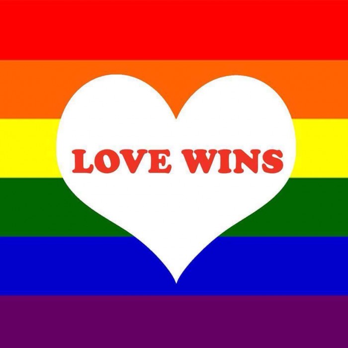 love wins gay marriage equality