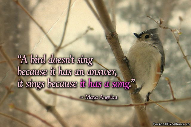 singing, bird