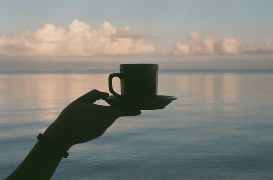 coffee cup/mug