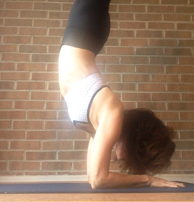 Anne Samit in Forearm Stand. For use with permission only.