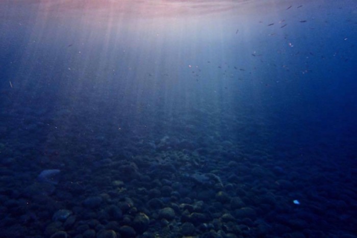 Underwater dark and light