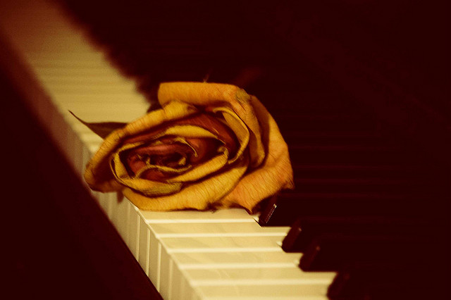piano, flower, vintage
