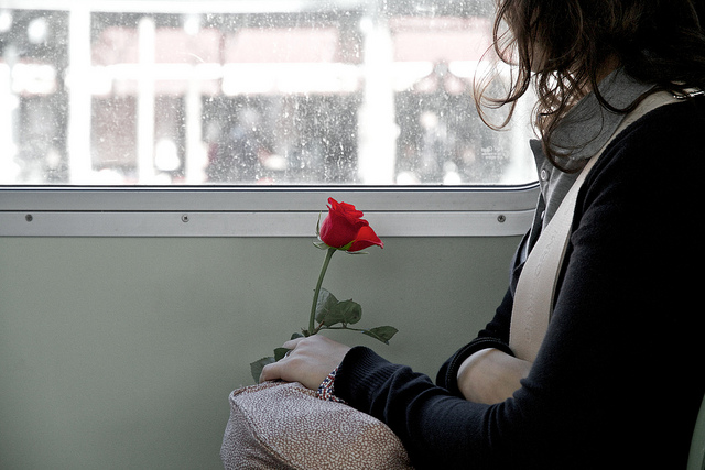 rose girl flower sad alone