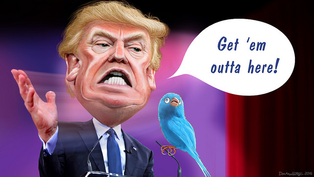 US election trump politics bernie sanders bird jungle