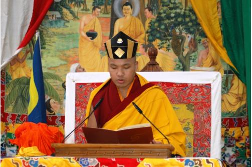 Statement from Gyalwang Karmapa regarding KTD & Bardor Tulku Rinpoche ...