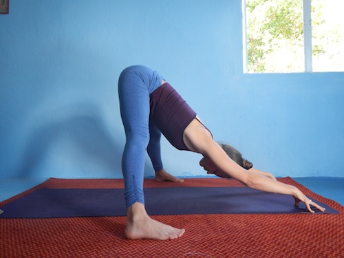 DSCN8130-Prasarita Padottanasana Kriya, Standing Wide Legged Forward Bend Hip Clearing