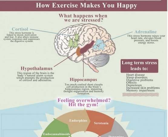 Exactly how Exercising turns on our Happiness. {Infographic} | elephant ...