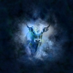 November’s Powerful Full Moon in Taurus: 3 Things we Need to Know ...