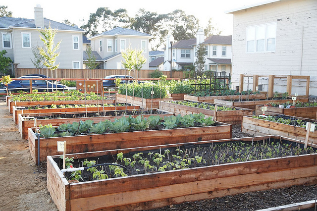 24 Tips for Growing Food in Raised Garden Beds. | elephant journal