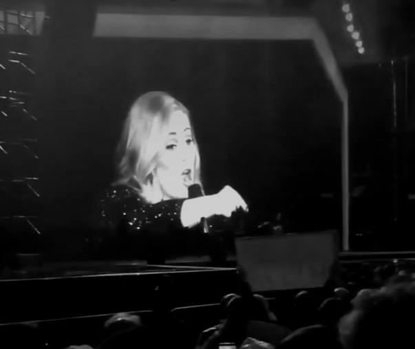 Adele Calls out a Concert Attendee & Polarizes her fans—"I'm Really