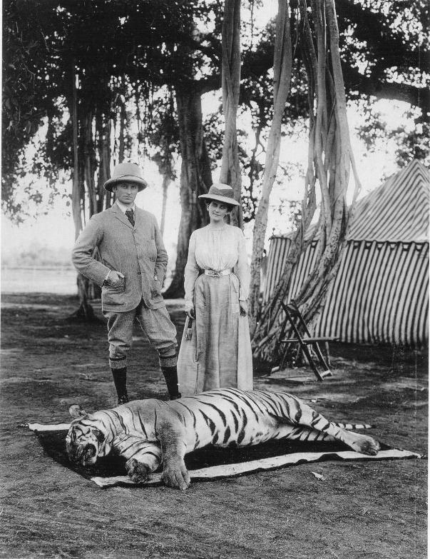 tiger hinting vintage animal abuse killing