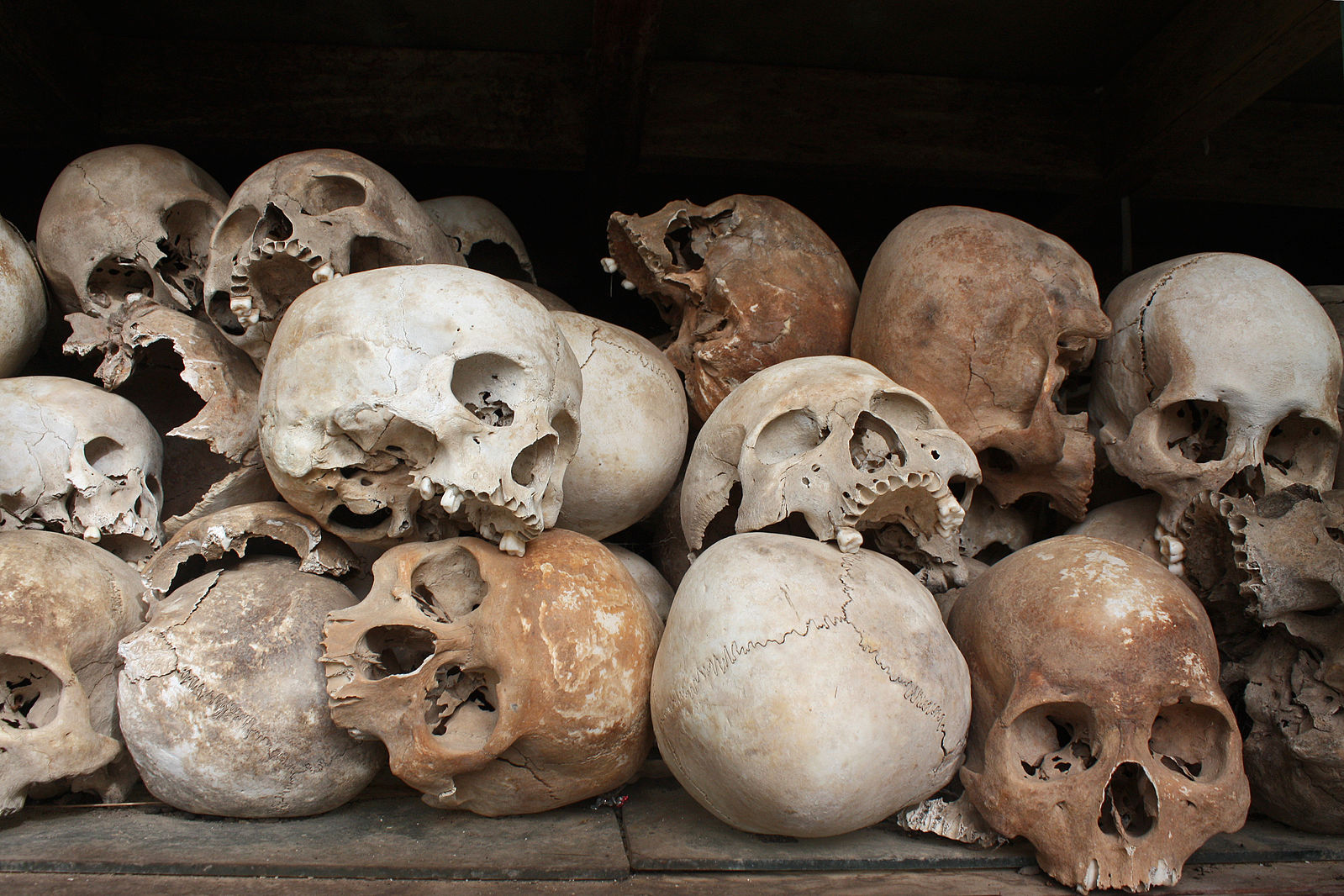 Skulls_of_the_victims_of_the_Khmer_Rouge_occupation_of_Cambodia
