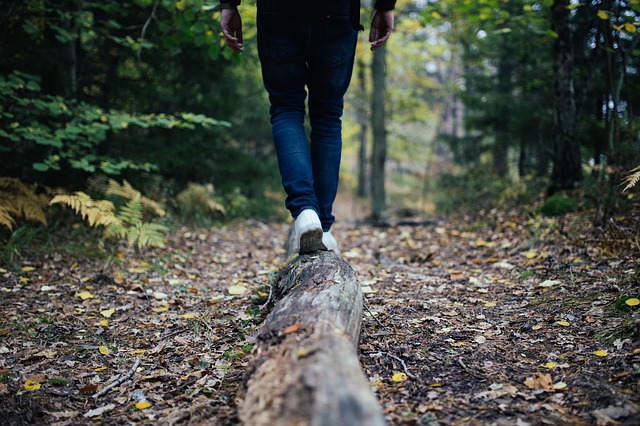 walking woods step