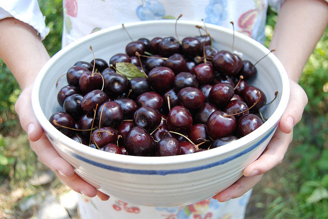 Why We Should Eat Cherries This Summer Elephant Journal