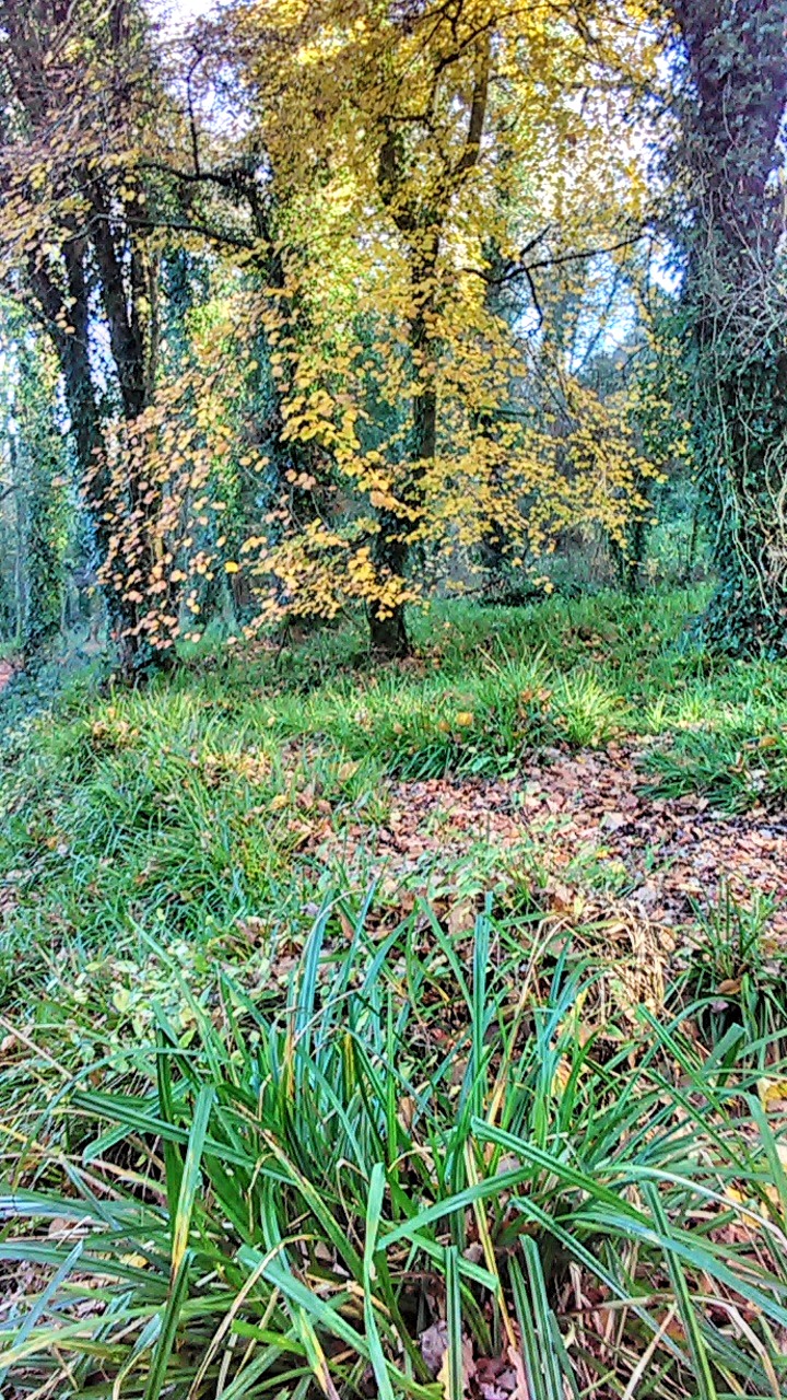 The Natural Connection | elephant journal