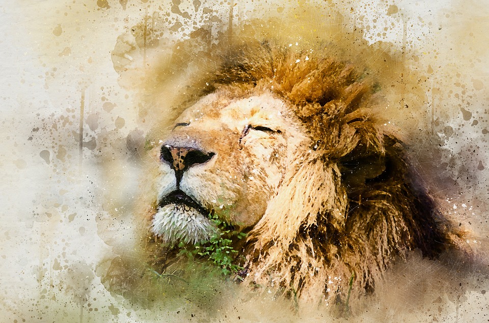 The Lion Thing: A Powerful Meditation with Big Cats & Cozy Kitties