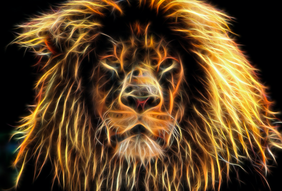 August 8th-12th Lion's Gate Portal: Manifest your Intentions, Desires ...