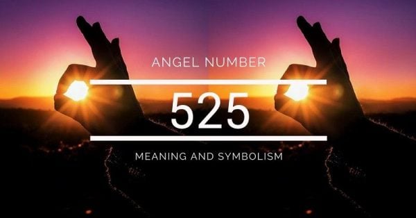 angel-number-525-meaning-symbolism-elephant-journal