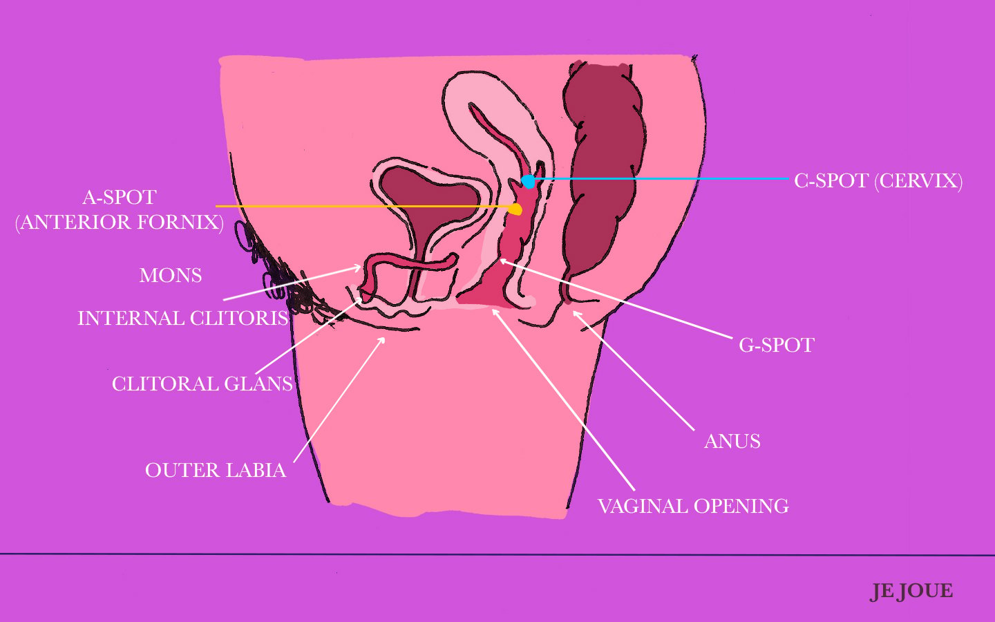 You Came How The 10 Types Of Orgasms And How To Have Them