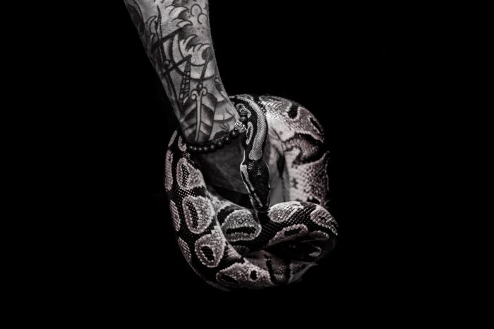Stylish Danger Black Chain Hand Band Waterproof Temporary Tattoo For Boys  Girls  Amazonin Beauty