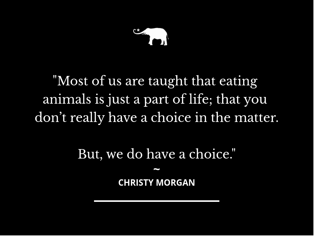 Why you should participate in Meatless Monday. elephant journal