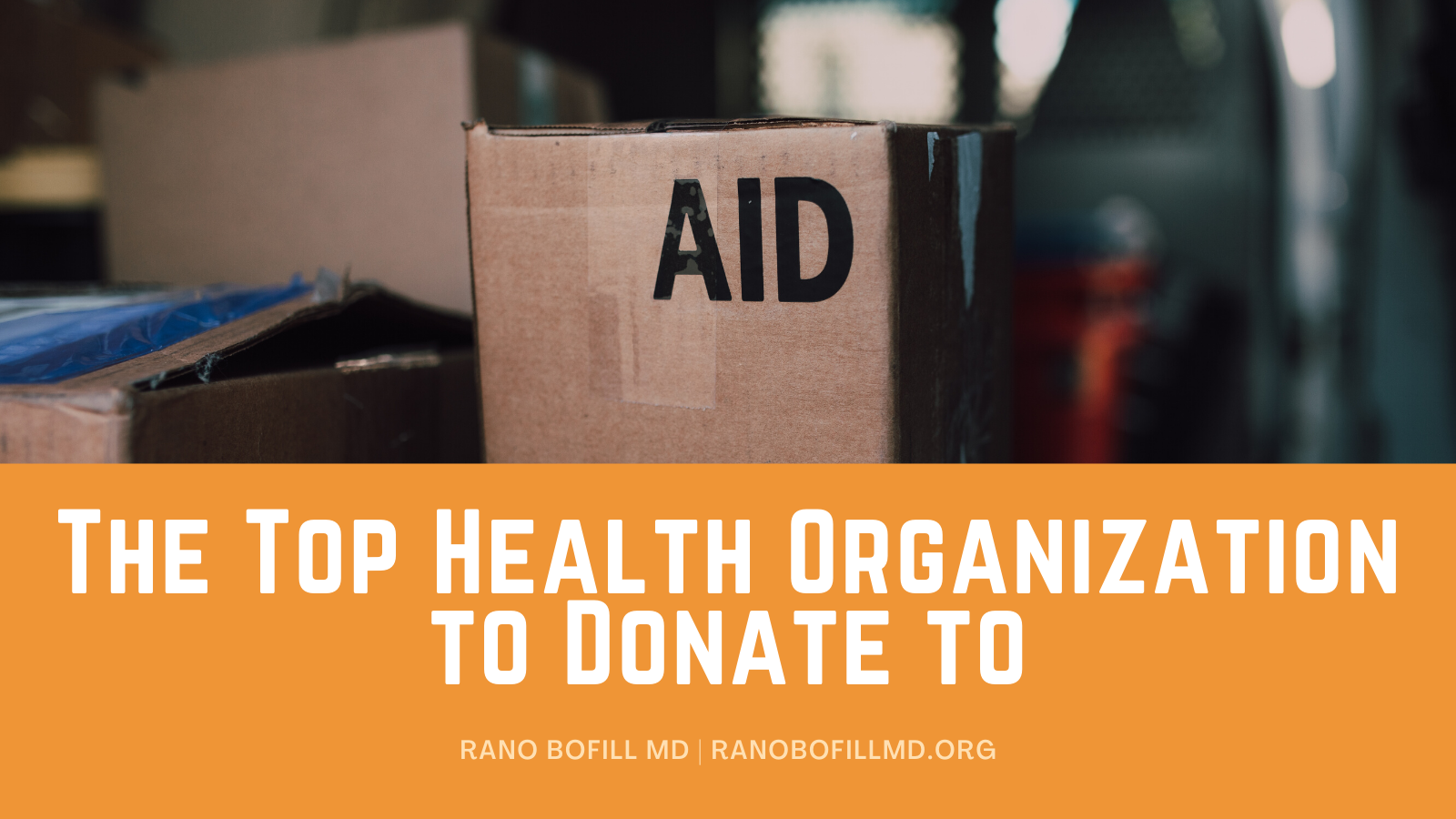 The Top Health Organizations to Donate to elephant journal