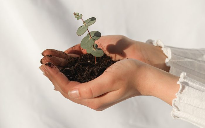 Cup of Couple/Pexels https://www.pexels.com/photo/woman-holding-soil-with-a-green-plant-6963530/